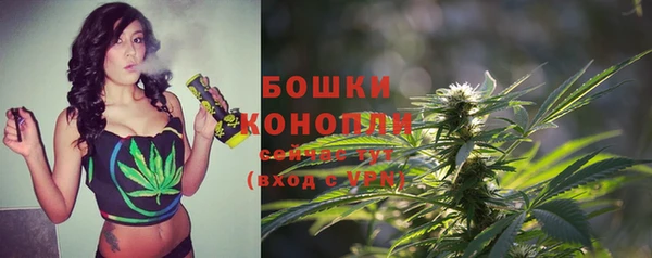 спайс Надым