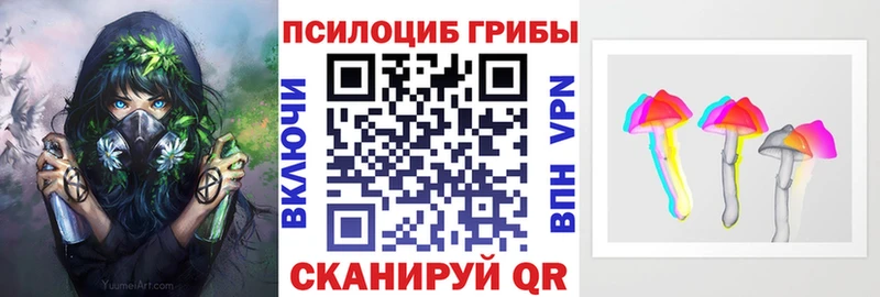 Псилоцибиновые грибы Cubensis  Хасавюрт 