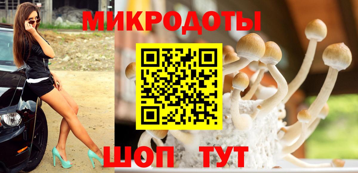 Псилоцибиновые грибы мицелий  Вход с VPN  Хасавюрт 