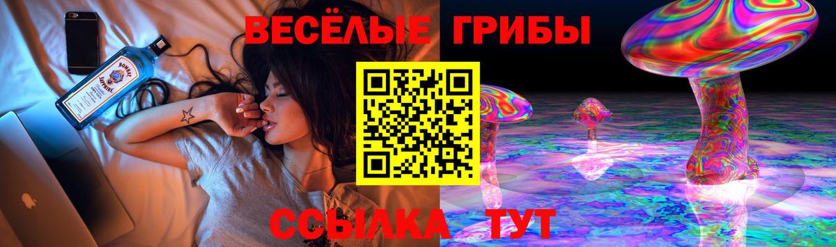 Бошки Шишки Хасавюрт